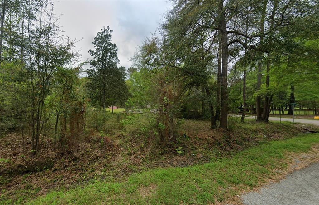 25 County Road 3709, Unit 25 Splendora, TX 77372 - Photo 2 of 5
