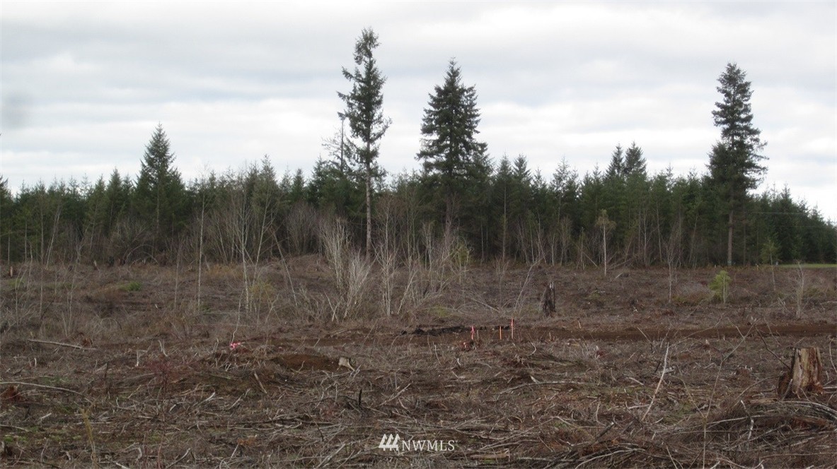 3 Centralia Alpha Road Chehalis, WA 98532 - Photo 14 of 25