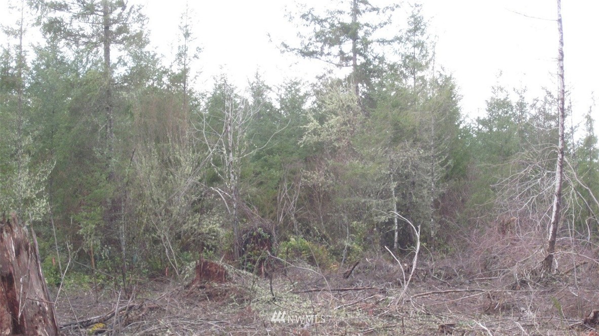 3 Centralia Alpha Road Chehalis, WA 98532 - Photo 23 of 25