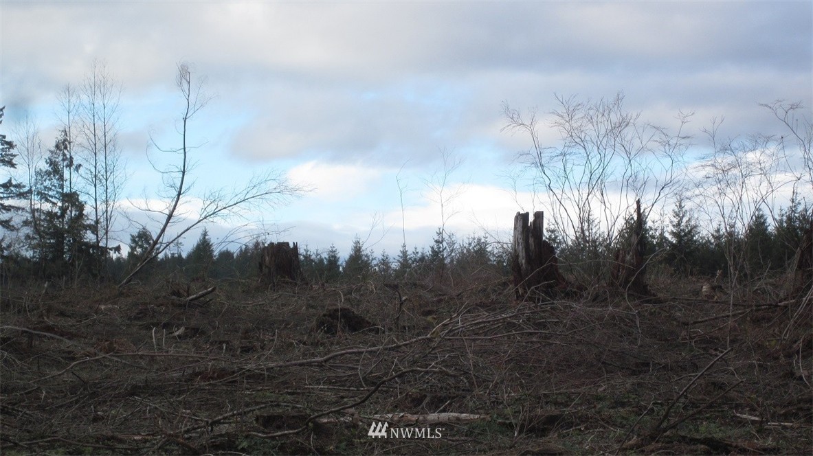 3 Centralia Alpha Road Chehalis, WA 98532 - Photo 4 of 25