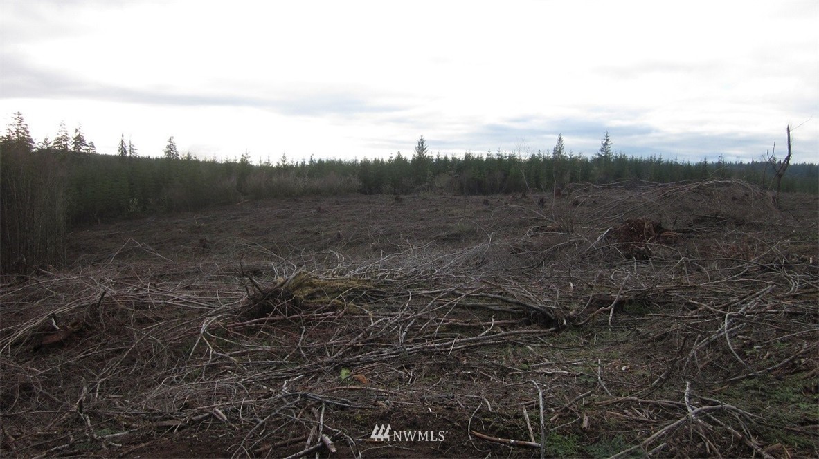 3 Centralia Alpha Road Chehalis, WA 98532 - Photo 7 of 25