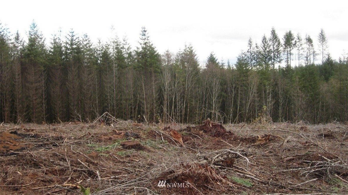 3 Centralia Alpha Road Chehalis, WA 98532 - Photo 8 of 25