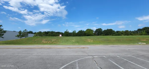 a view of a field with a tree in the background