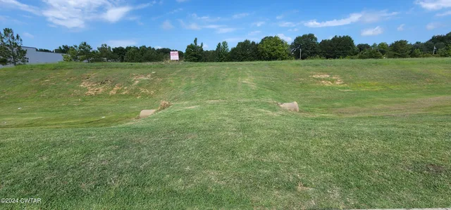 a view of a grassy field