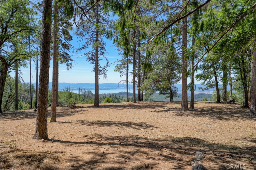 6135 15 N 12 Road Upper Lake, CA 95485 - Photo 5 of 68