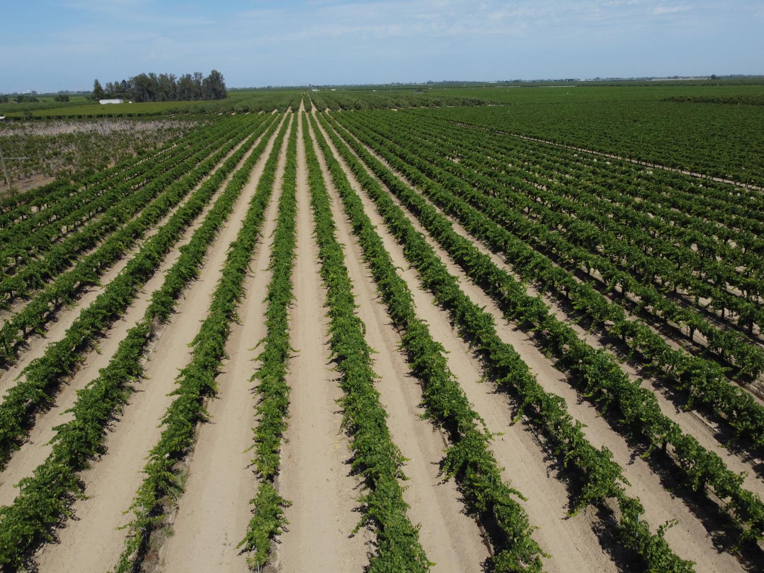 0 27.53 Acs Selma, CA 93662 - Photo 3 of 5 a view of park with a lake
