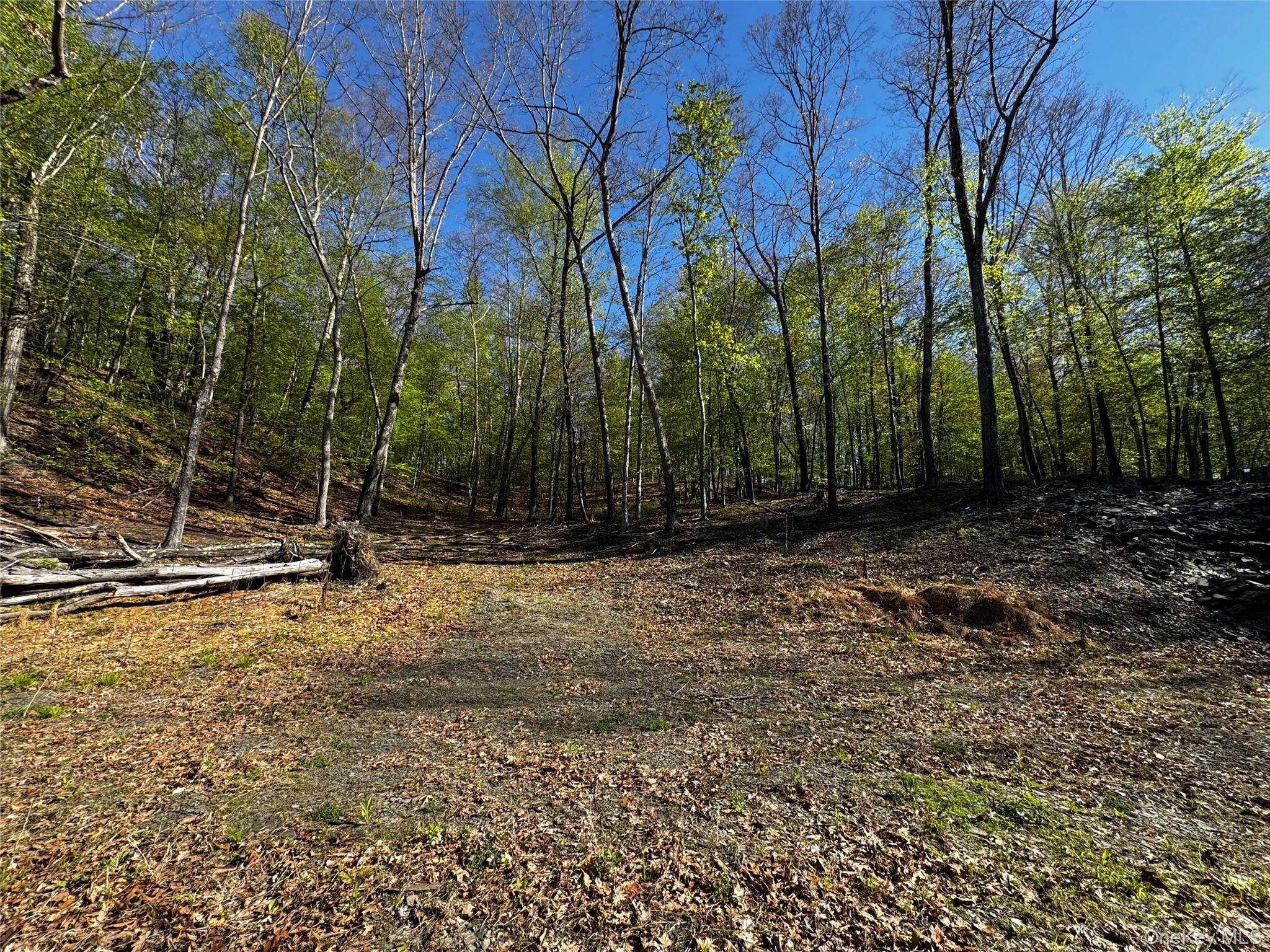 Hall Hill Road Ancram, NY 12502 - Photo 2 of 11 a view of a backyard with trees