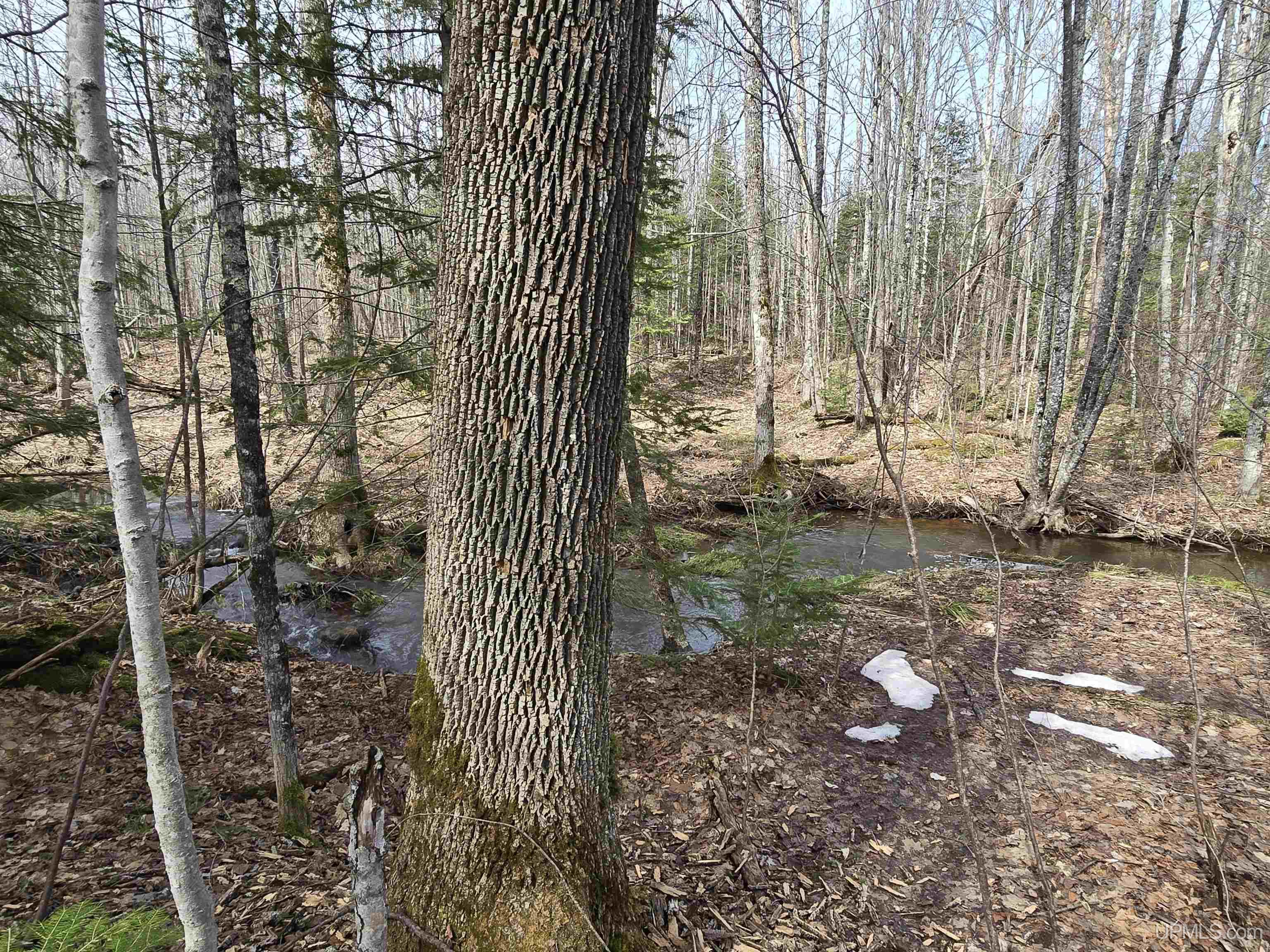 Tbd Woodspur Road Ontonagon, MI 49953 - Photo 18 of 46