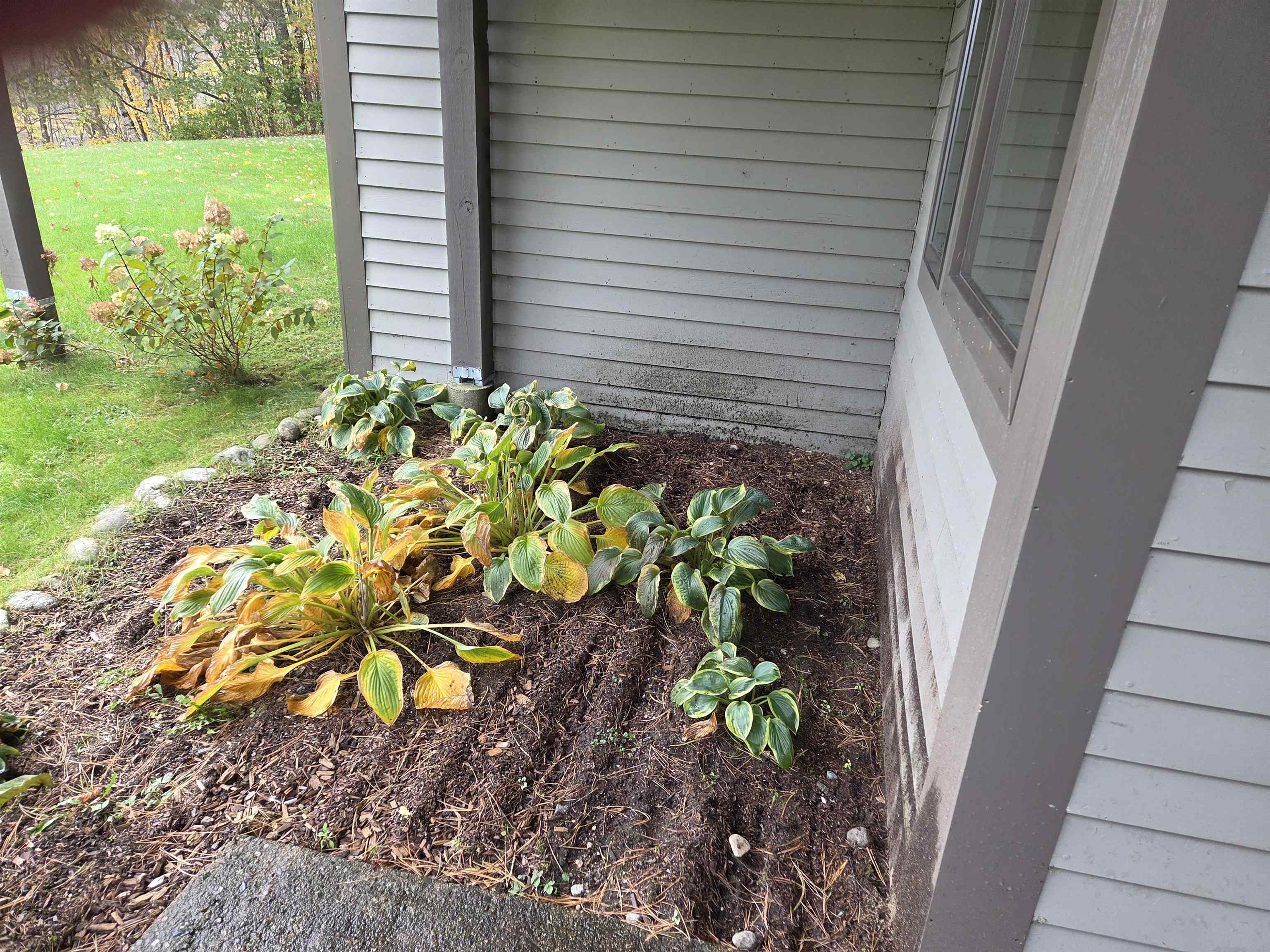 21 Overlook Road, Unit 5 Campton, NH 03223 - Photo 21 of 21