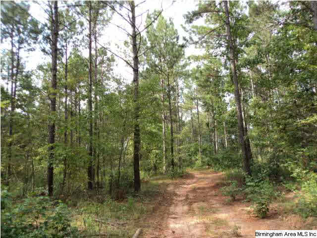 22 Highway Ac Al, Unit 89 Daviston, AL 36256 - Photo 8 of 10