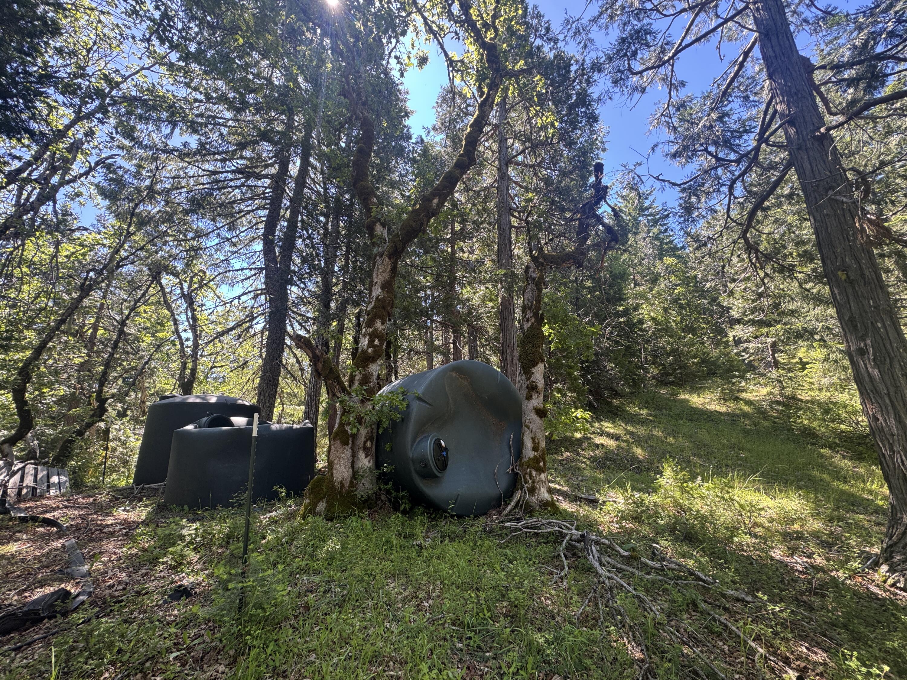 40-acres Snow Camp Road Korbel, CA 95550 - Photo 12 of 26