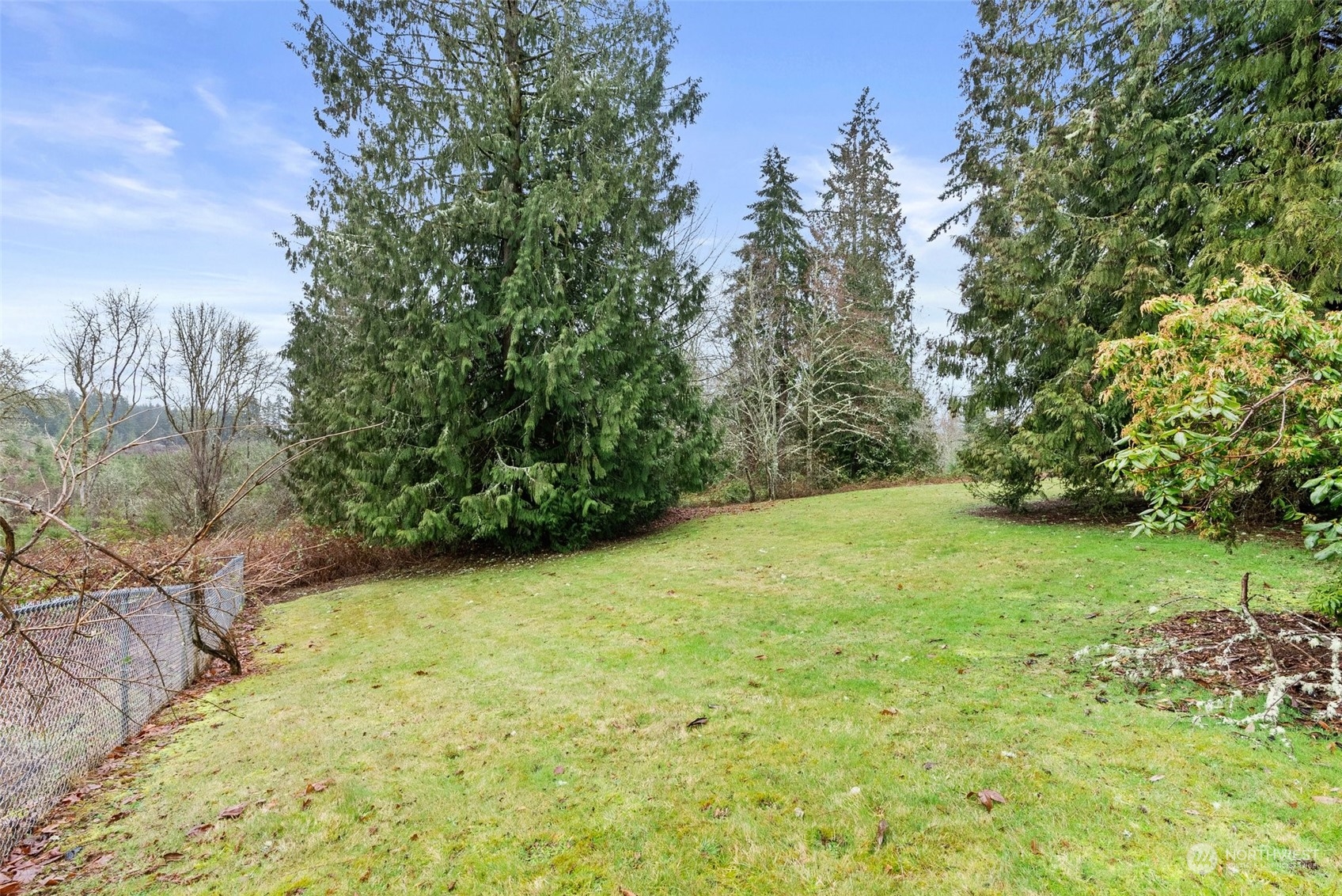 684 Nevil Road Winlock, WA 98596 - Photo 24 of 26 a view of a yard with a tree