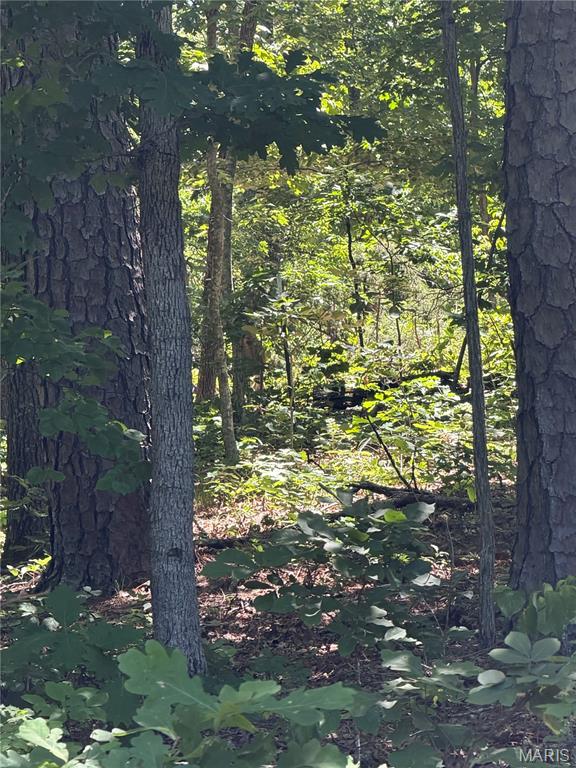 0 Lodge Road Bourbon, MO 65441 - Photo 18 of 18