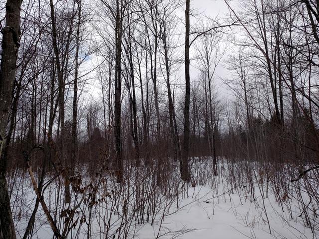 On On Cth C Prentice, WI 54556 - Photo 15 of 20 Gallery Image 15