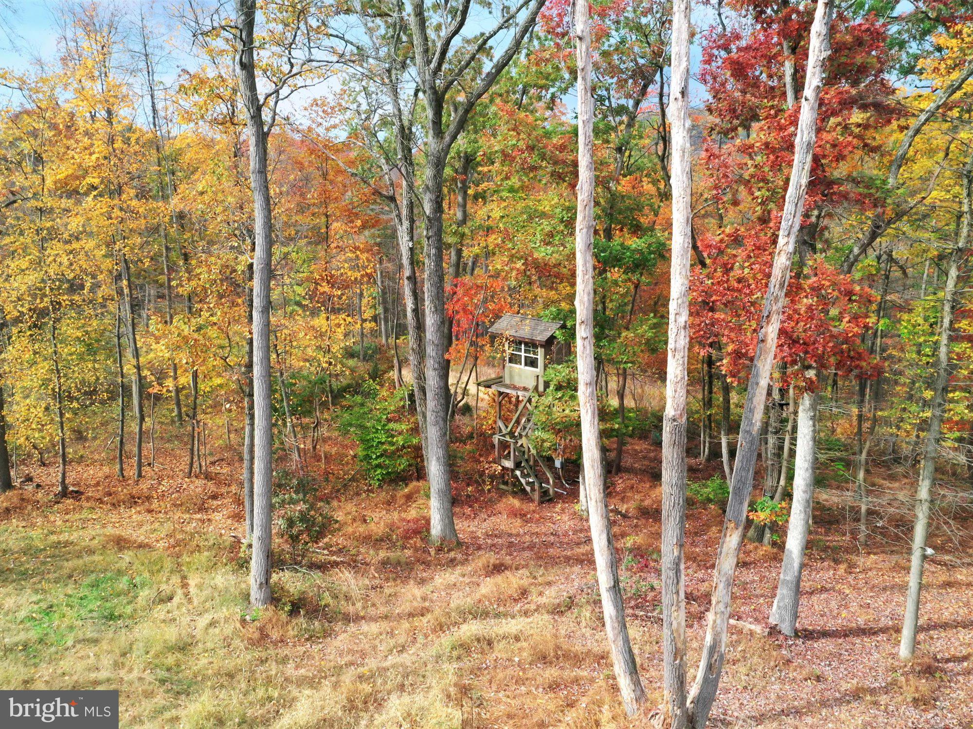 15 James Road Reinholds, PA 17569 - Photo 25 of 34 Wooded Area