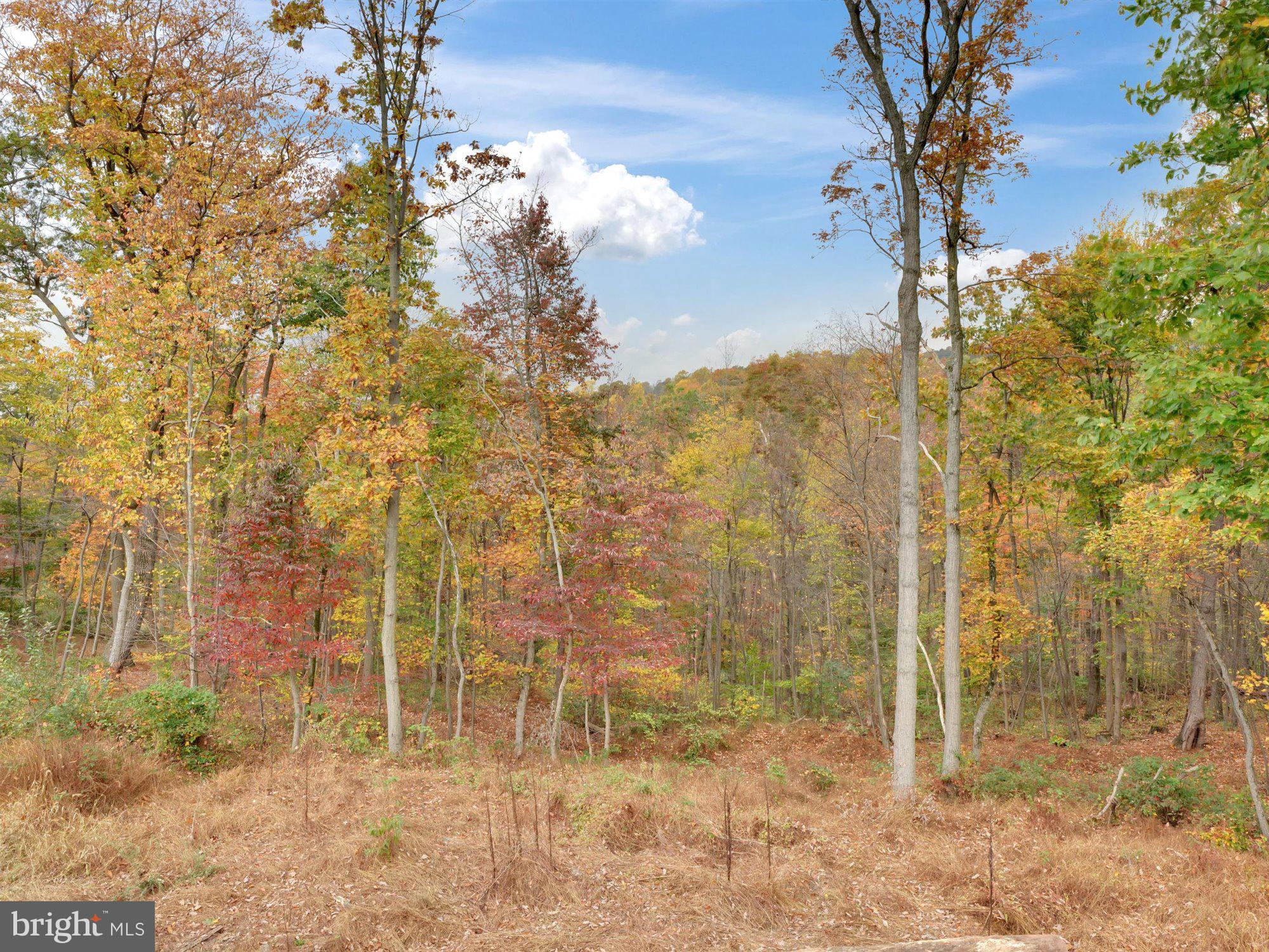 15 James Road Reinholds, PA 17569 - Photo 28 of 34 V4
