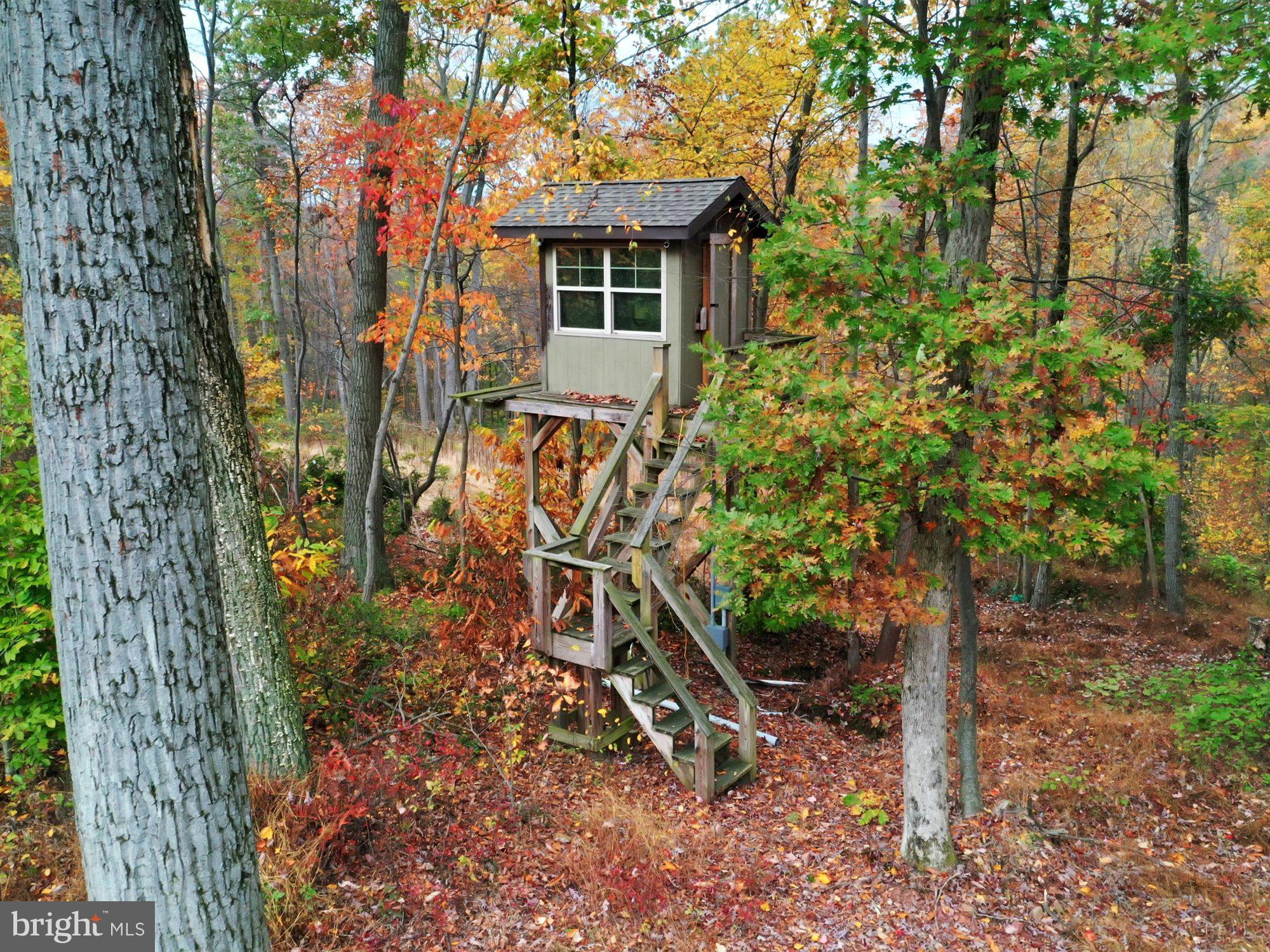 15 James Road Reinholds, PA 17569 - Photo 32 of 34 Tree Stand