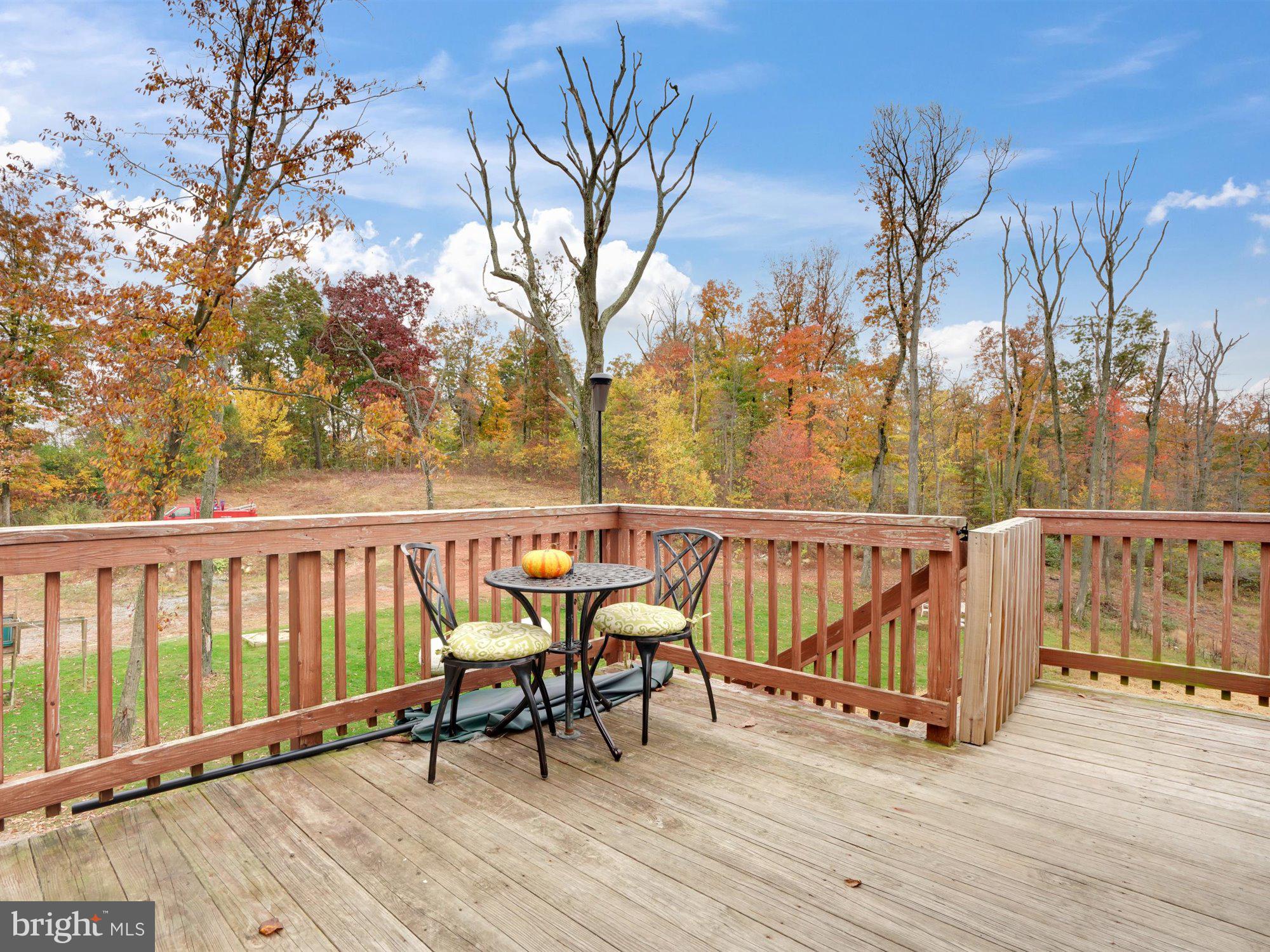 15 James Road Reinholds, PA 17569 - Photo 7 of 34 Deck