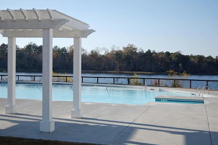 602 Black Pine Road Moncks Corner, SC 29461 - Photo 37 of 39 pool2