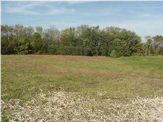 0 Hill Spring Road Eminence, KY 40019 - Photo 1 of 1 Primary Photo