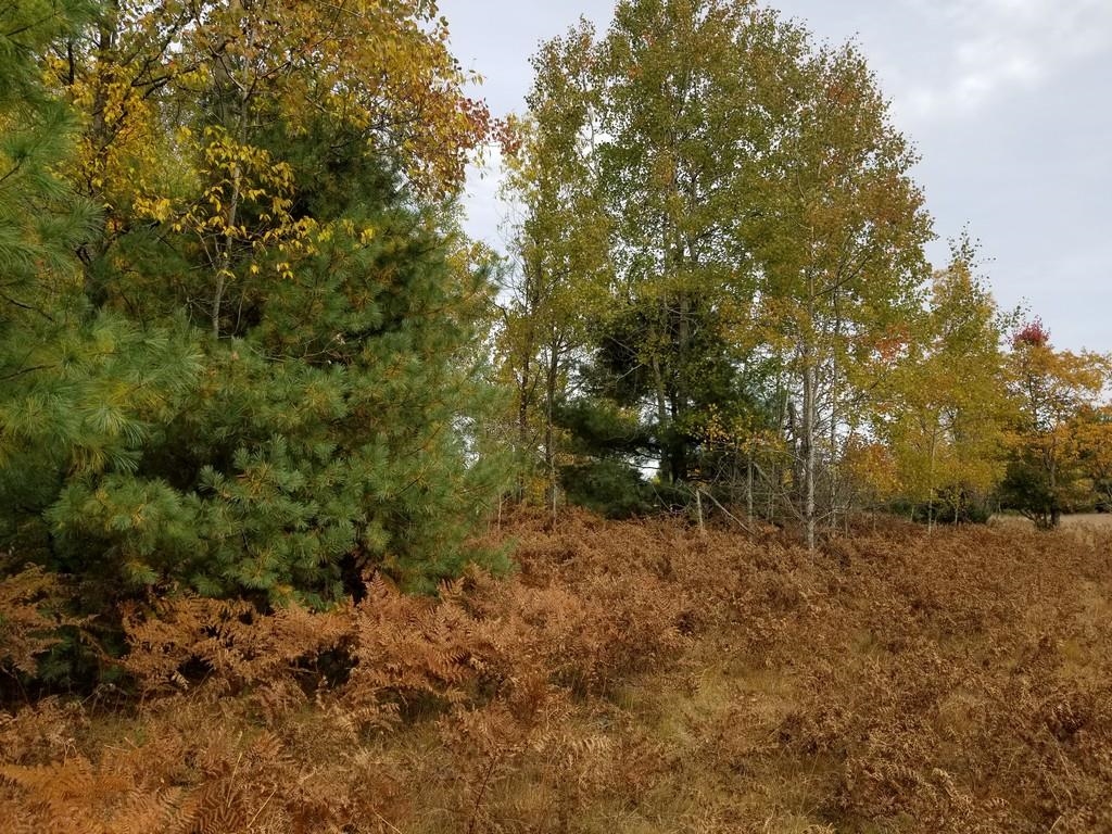 2089 Sigma Road Southeast Kalkaska, MI 49646 - Photo 29 of 57 1905734-28.JPG