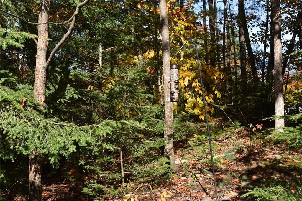 8 Milliken Road Gray, ME 04039 - Photo 6 of 35 Front Yard View. There are many...