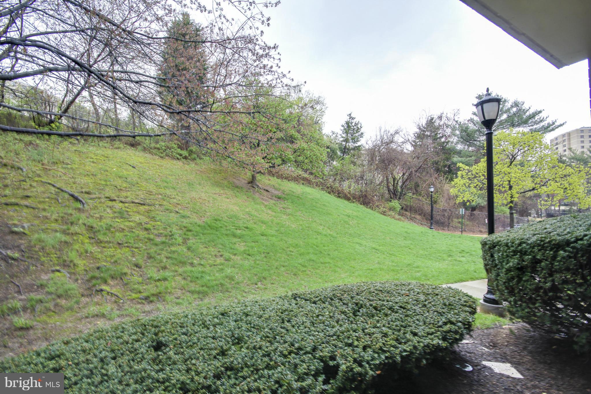 6155 Edsall Road, Unit 6155 Alexandria, VA 22304 - Photo 25 of 29 a view of a garden with a tree