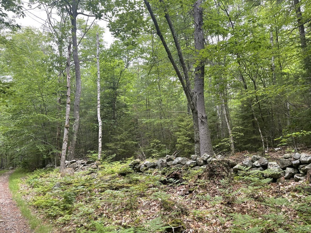 0 Ferin Road Ashburnham, MA 01430 - Photo 1 of 4 Gallery Image 1