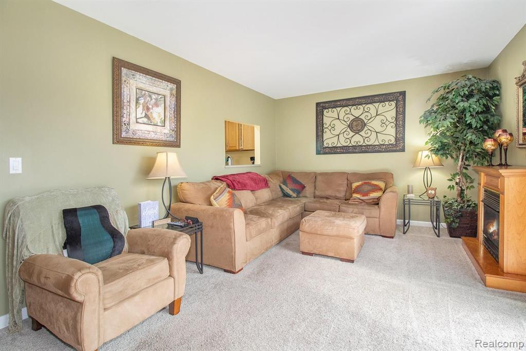 42053 Loganberry Ridge North Novi, MI 48375 - Photo 10 of 22