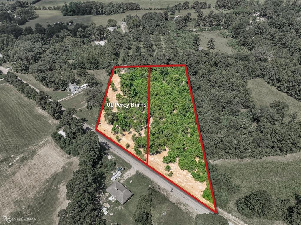 1 Percy Burns Road Springhill, LA 71075 - Photo 1 of 15 Gallery Image 1
