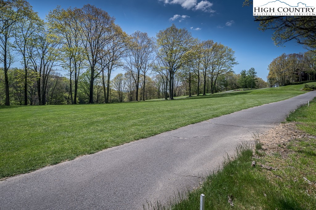 423 St Andrews Road Beech Mountain, NC 28604 - Photo 4 of 42 Gallery Image 4