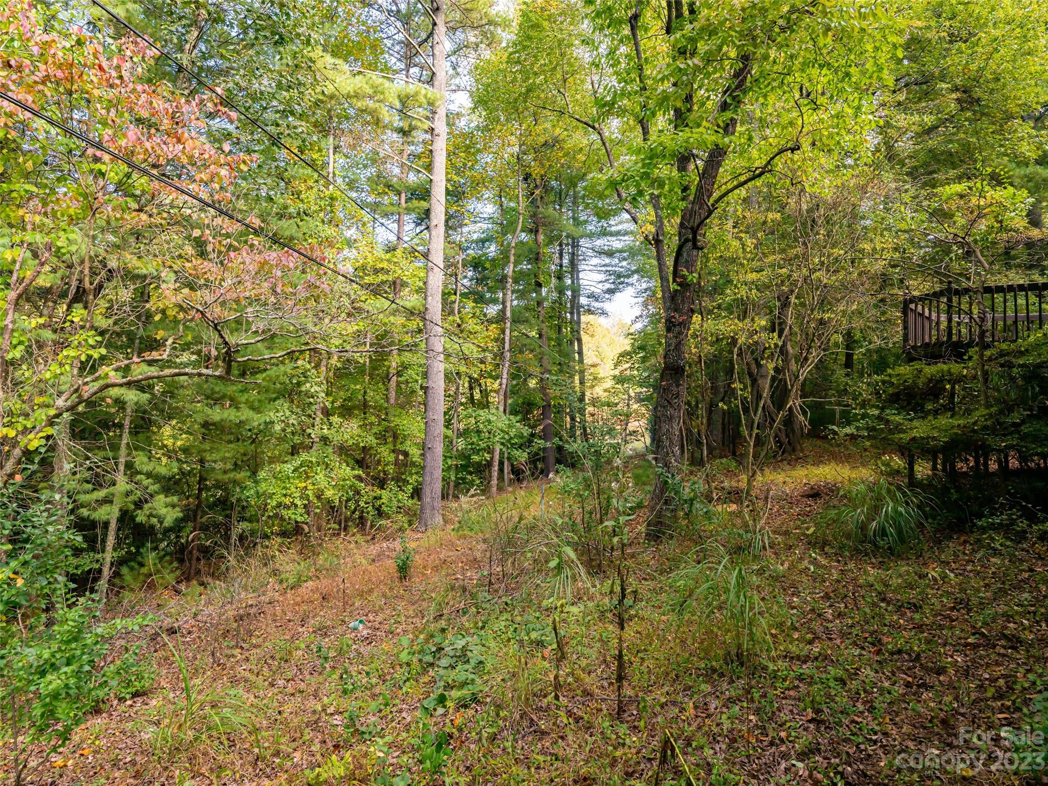 17 Lance Road Asheville, NC 28803 - Photo 28 of 30 Gallery Image 28