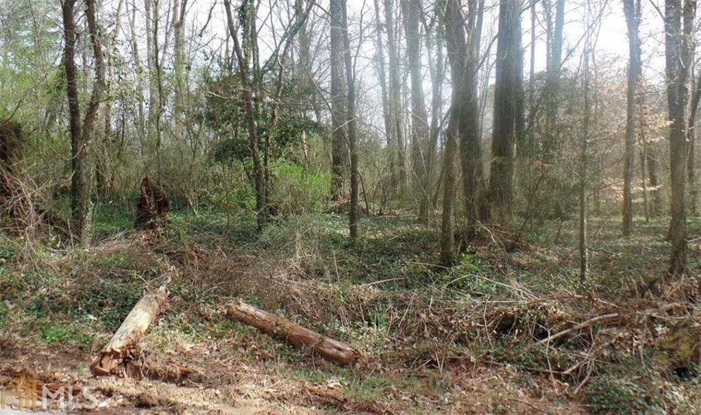 2560 Niskey Lake Road Southwest Atlanta, GA 30331 - Photo 5 of 6