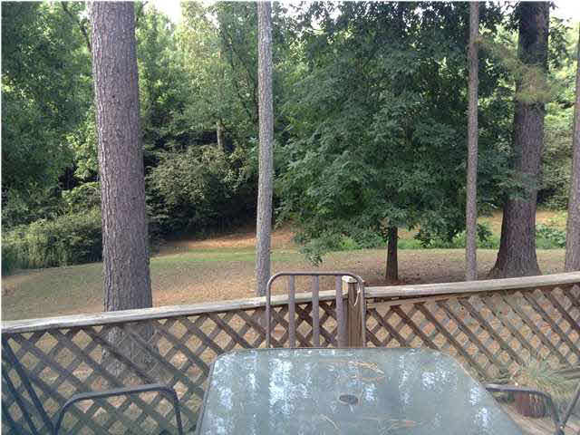 310 River Hill Road Carthage, MS 39051 - Photo 34 of 35 Back yard from the deck