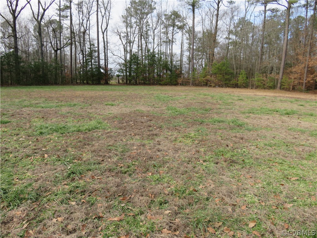Tbd Faison Road Wakefield, VA 23888 - Photo 3 of 7 Gallery Image 3