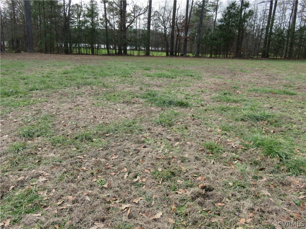 Tbd Faison Road Wakefield, VA 23888 - Photo 4 of 7 Gallery Image 4