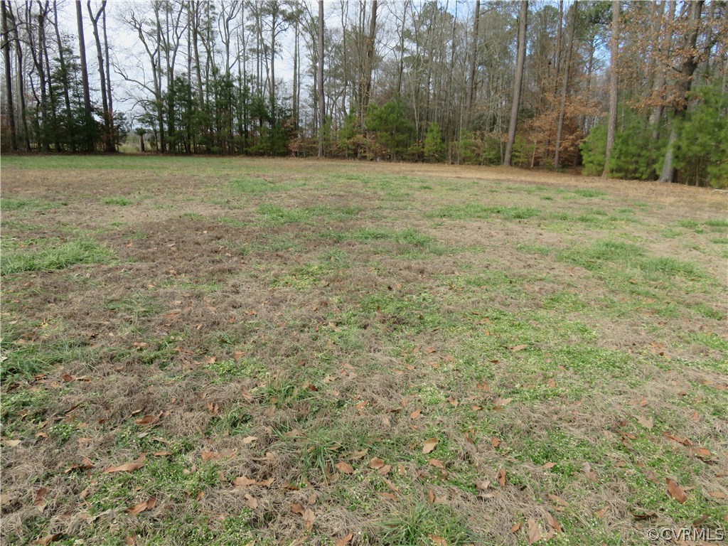 Tbd Faison Road Wakefield, VA 23888 - Photo 7 of 7 Gallery Image 7