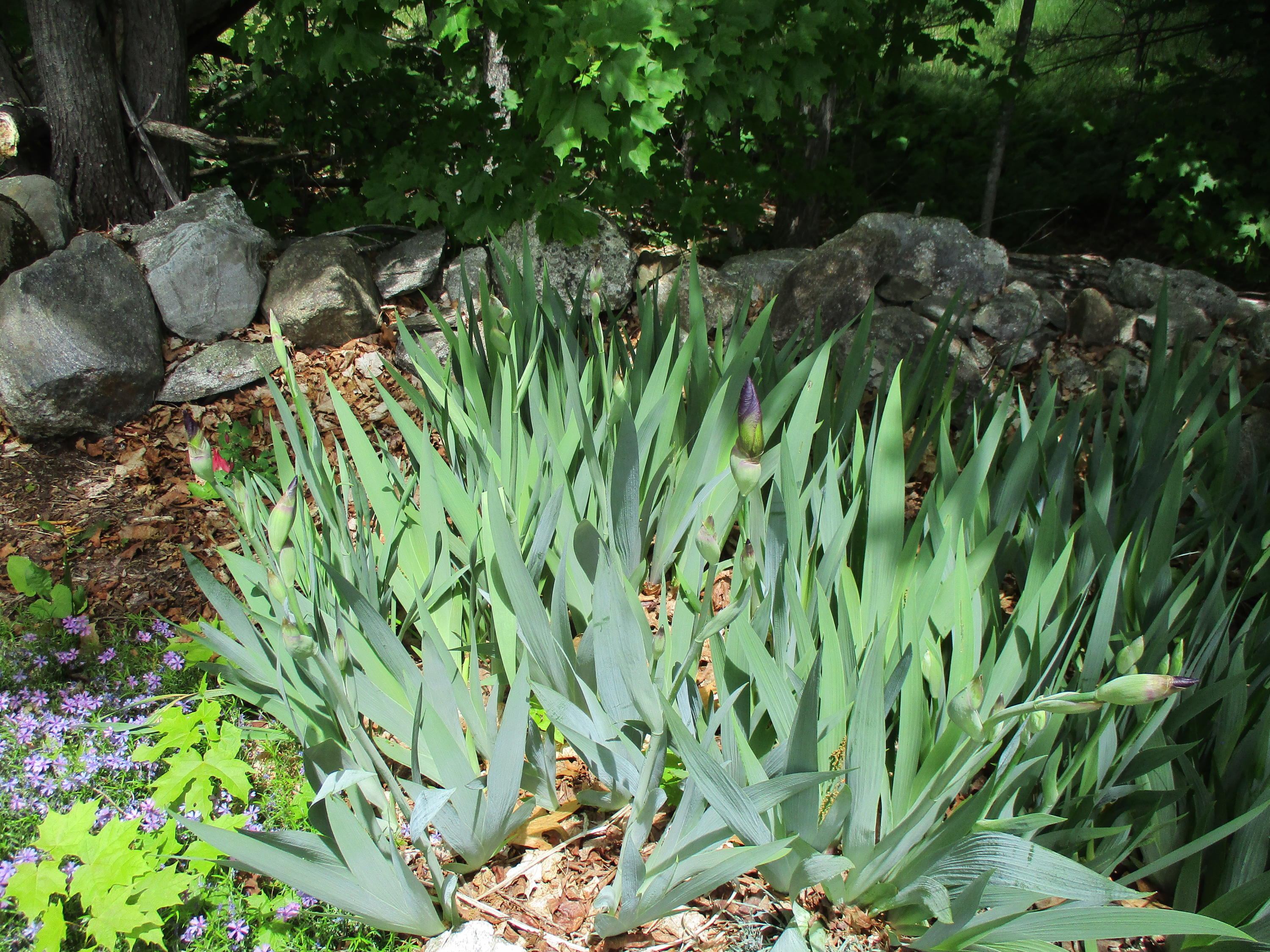 7 Station Road Hebron, ME 04238 - Photo 20 of 29 IMG_1474