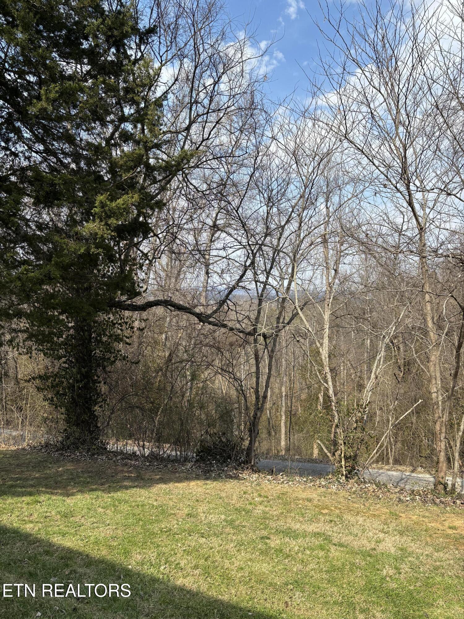 8634 Bud Hawkins Road Corryton, TN 37721 - Photo 24 of 25 IMG_0548