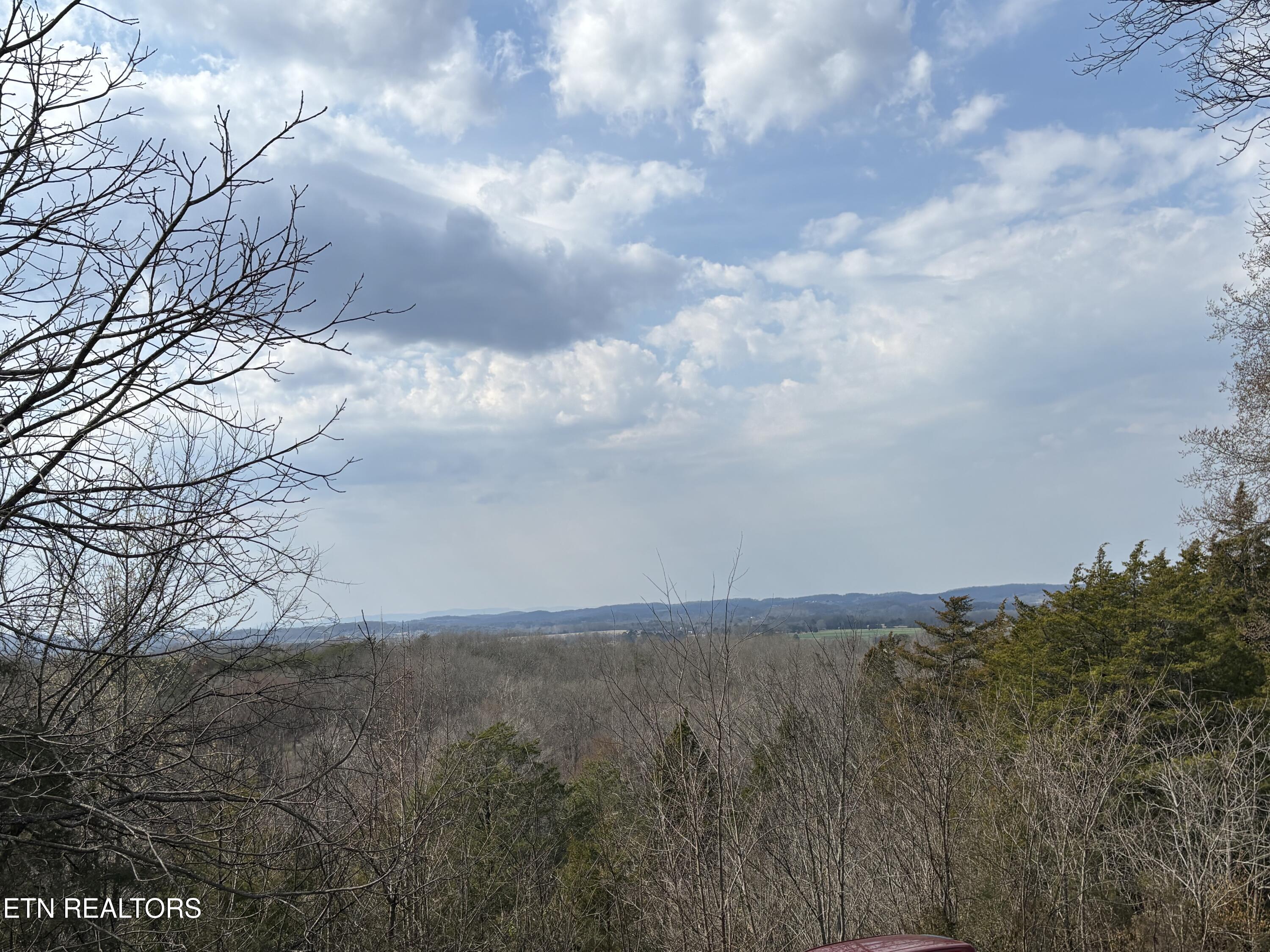 8634 Bud Hawkins Road Corryton, TN 37721 - Photo 5 of 25 IMG_0552