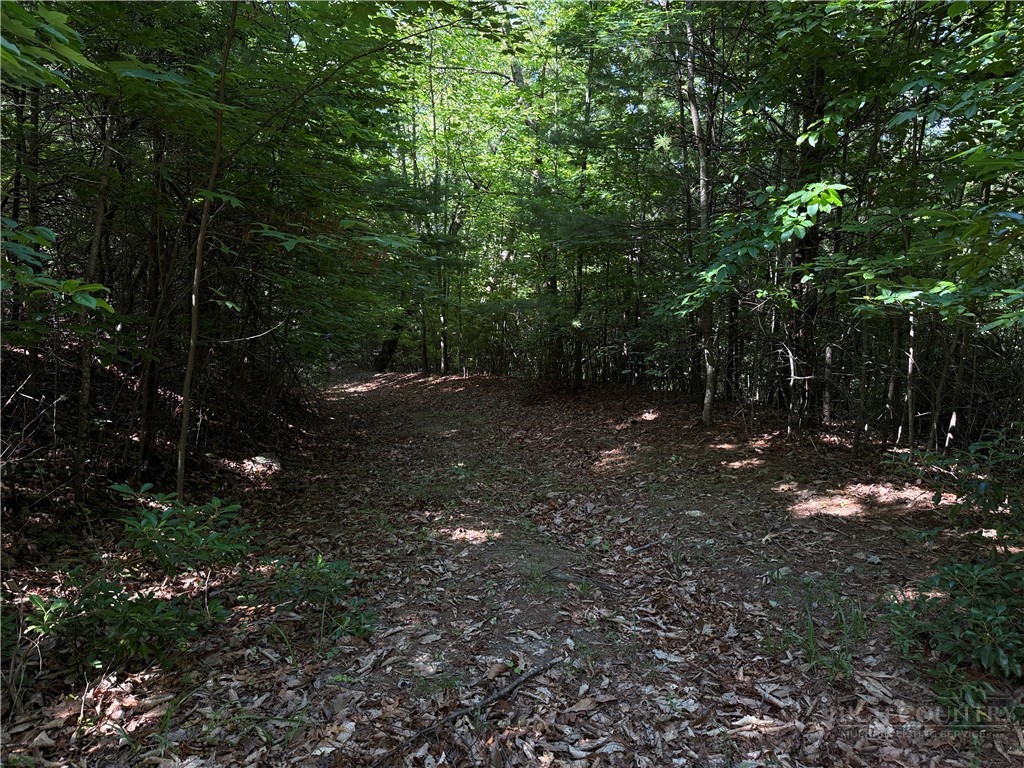 171-172b Blue Rock Road Purlear, NC 28665 - Photo 16 of 47