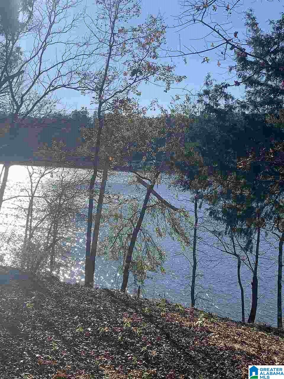 31 Lakefront Trail, Unit 13 Clanton, AL 35046 - Photo 3 of 4