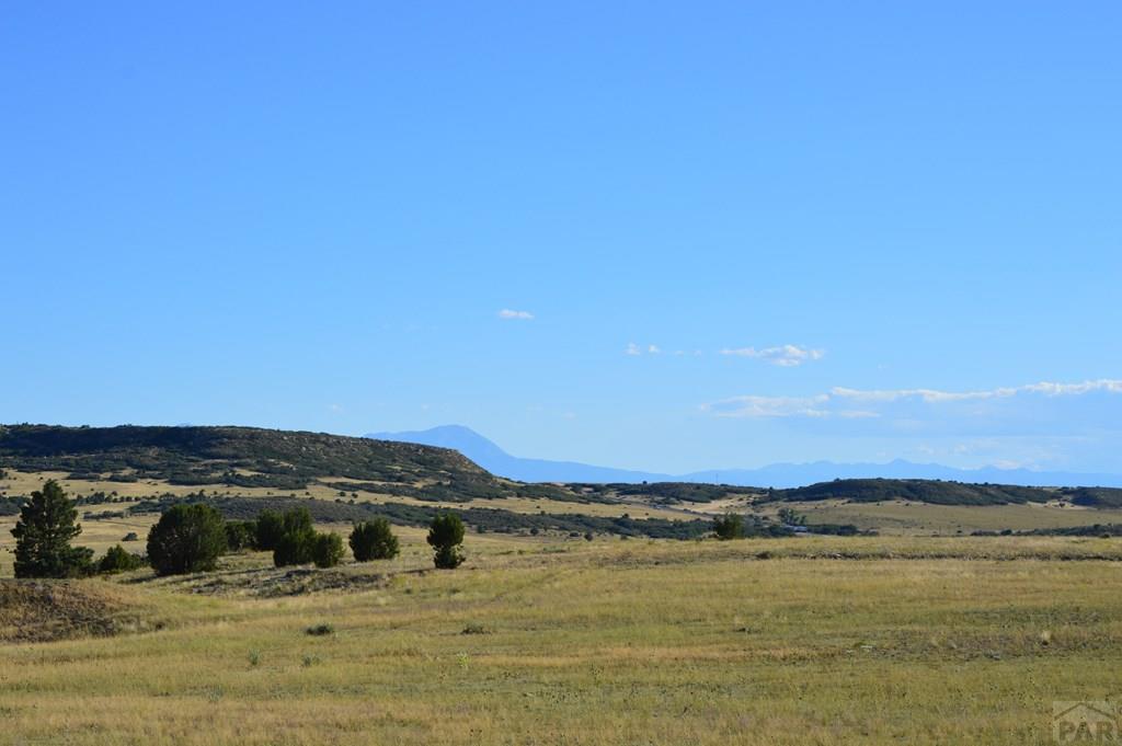 Tbd Tbd Plata Peak Rye, CO 81069 - Photo 10 of 11