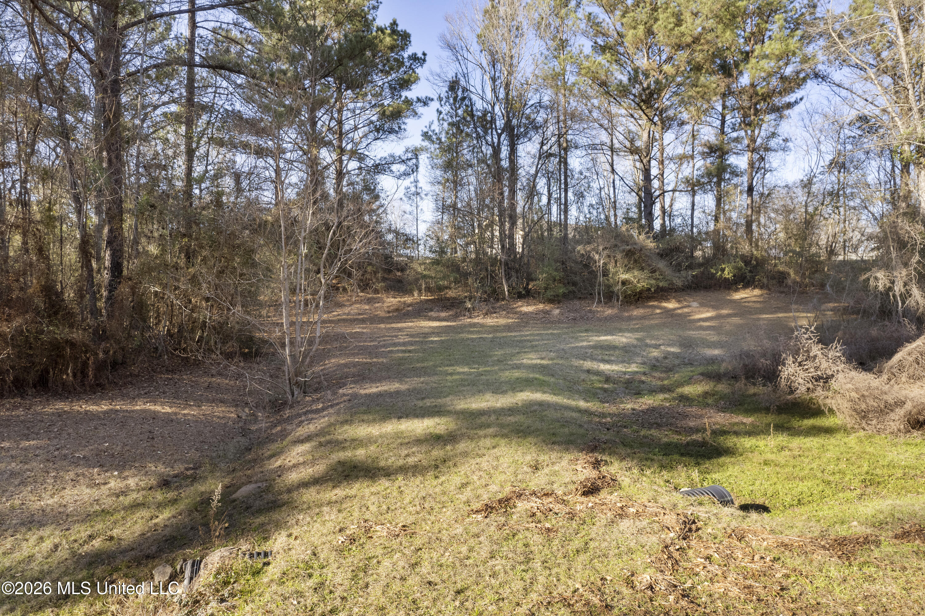 144 Corinth Road Petal, MS 39465 - Photo 9 of 16 Multiple Home Sites