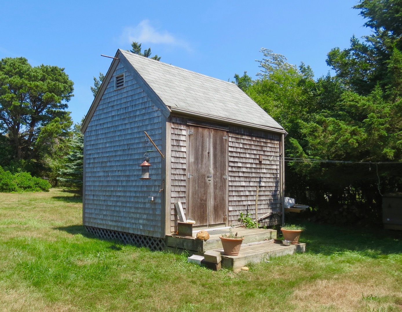 Gallery Image 5