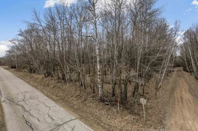 $69,900 | North White Potato Lake Road, Unit 1, Pound, WI 54161