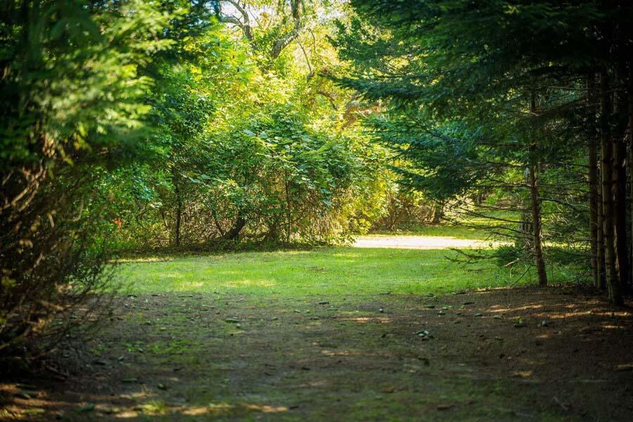 38 Roos Road East Sandwich, MA 02537 - Photo 2 of 12 a view of yard with green space