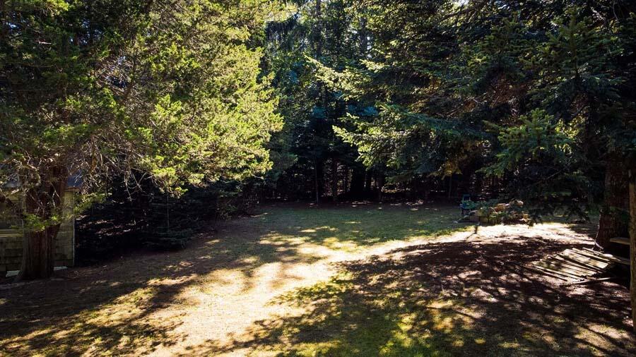 38 Roos Road East Sandwich, MA 02537 - Photo 5 of 12 a view of yard