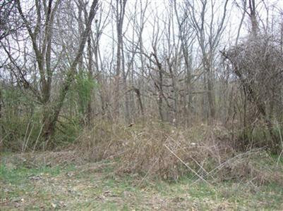 1 Aarons Run Road Mount Sterling, KY 40353 - Photo 8 of 9 Photo 8