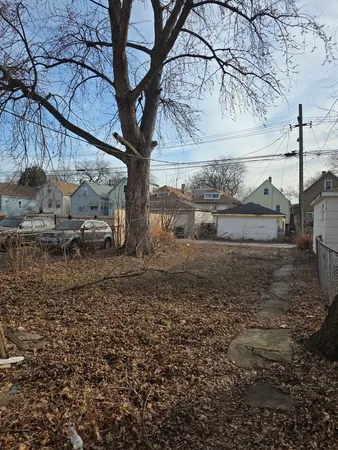 a view of a yard with a tree